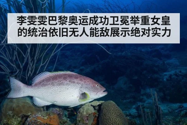李雯雯巴黎奥运成功卫冕举重女皇的统治依旧无人能敌展示绝对实力